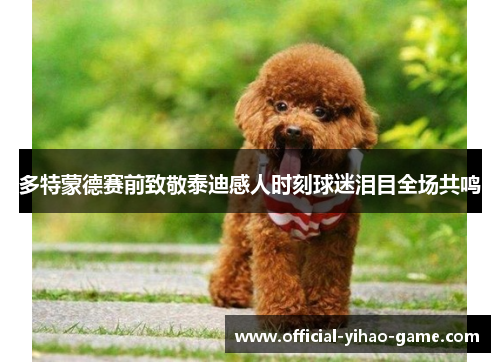 多特蒙德赛前致敬泰迪感人时刻球迷泪目全场共鸣